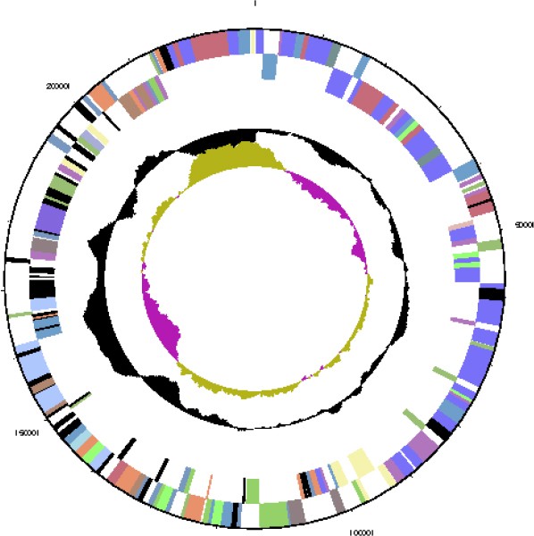 Figure 3c.