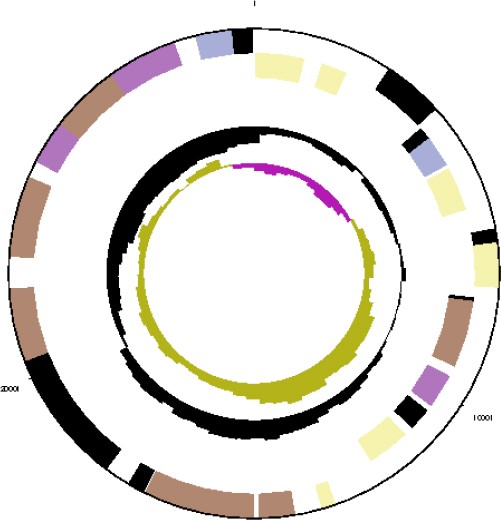 Figure 3f.