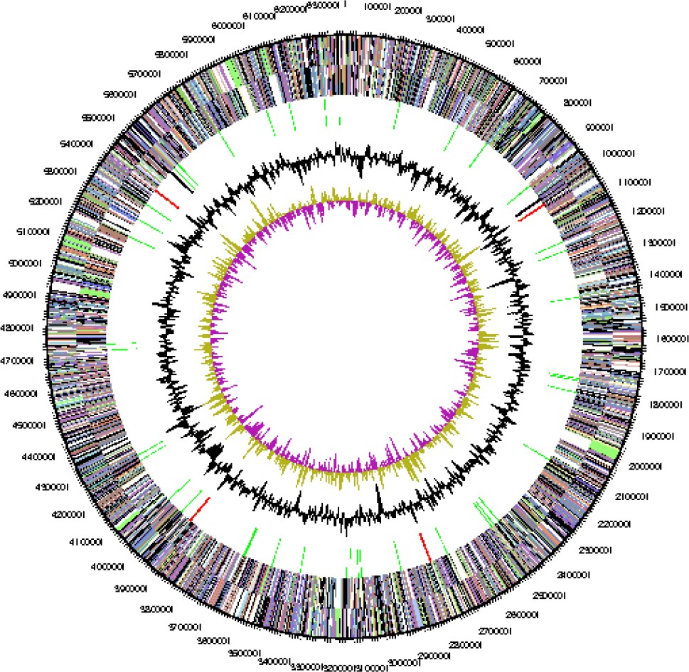 Figure 3.