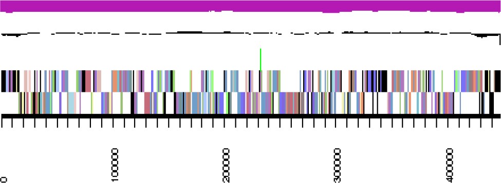 Figure 3c.