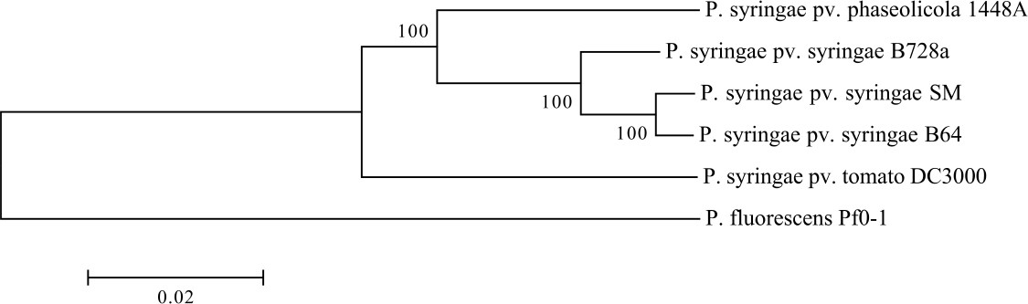 Figure 1.