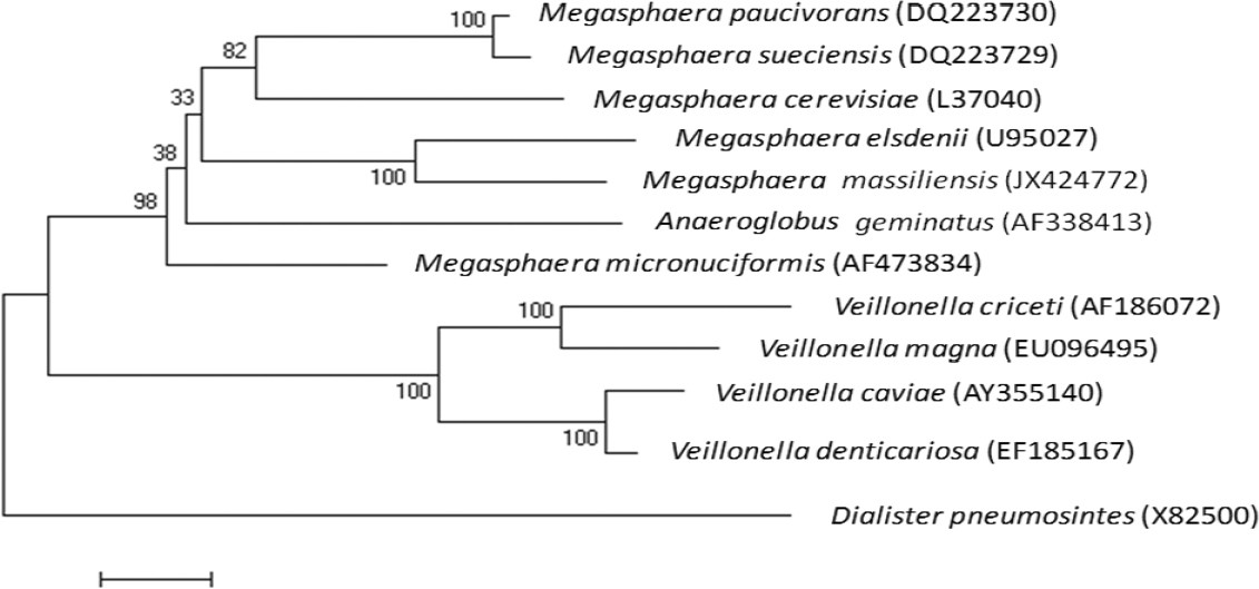 Figure 1.