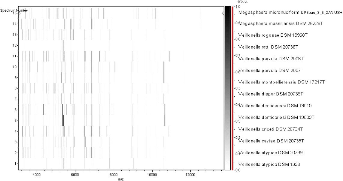 Figure 5.