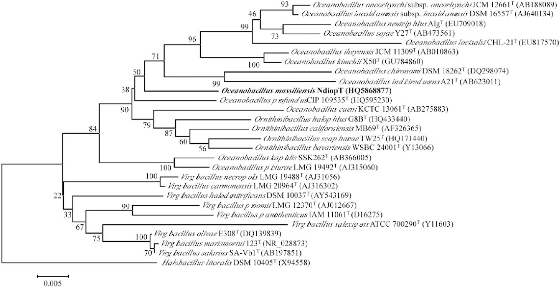 Figure 1.