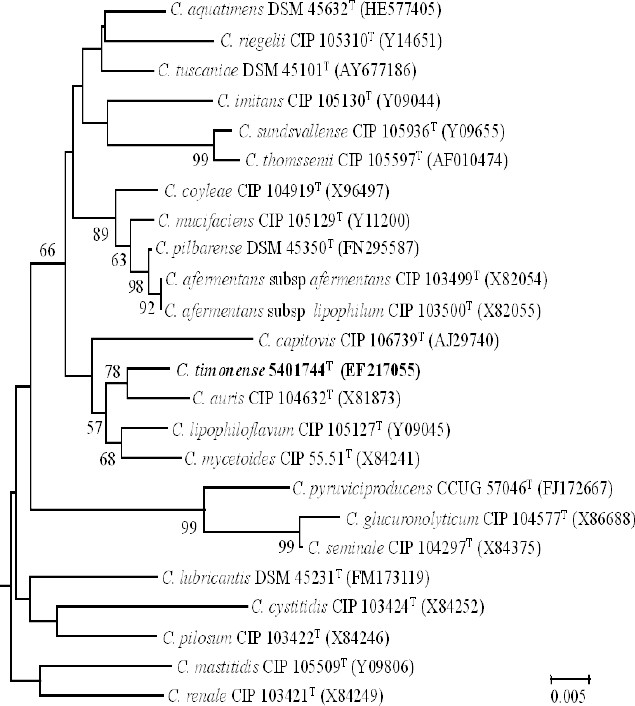 Figure 1.