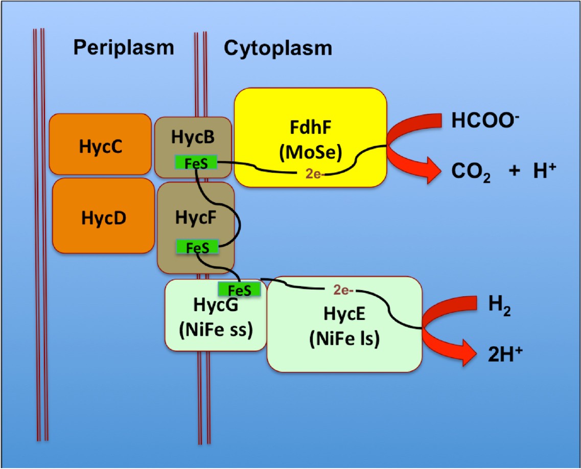 Figure 3.