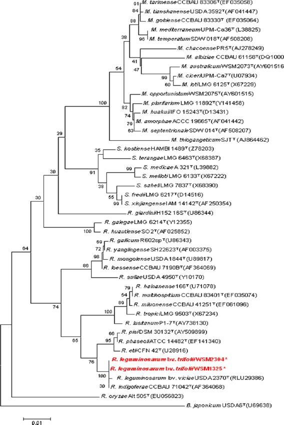 Figure 2.