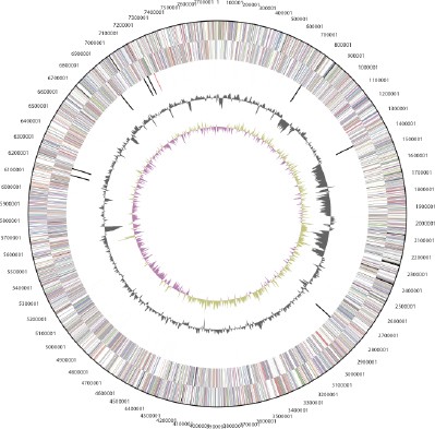 Figure 3b.