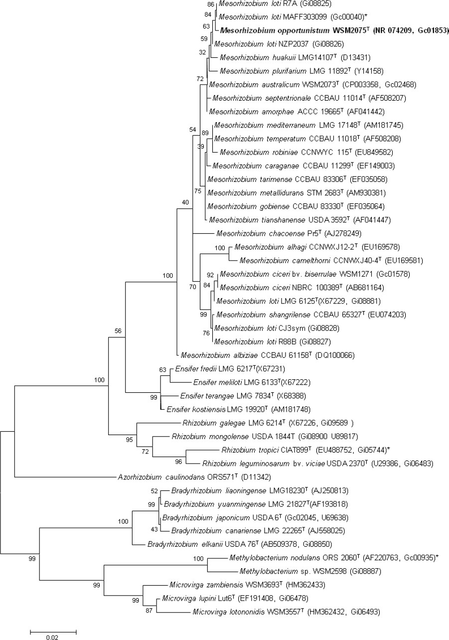 Figure 2.