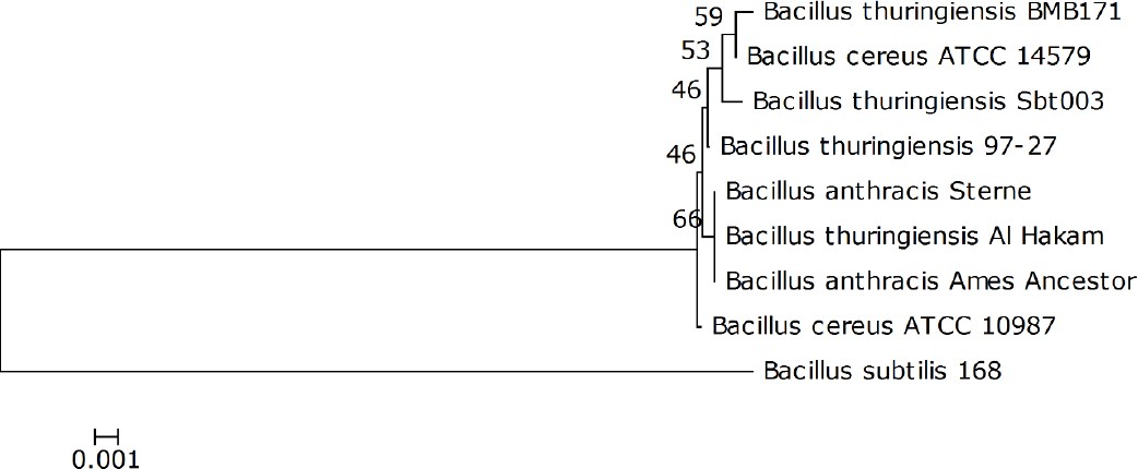 Figure 2.