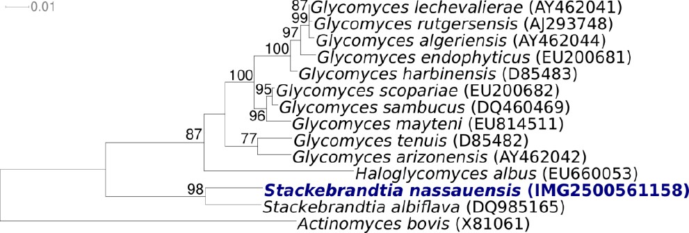 Figure 1.