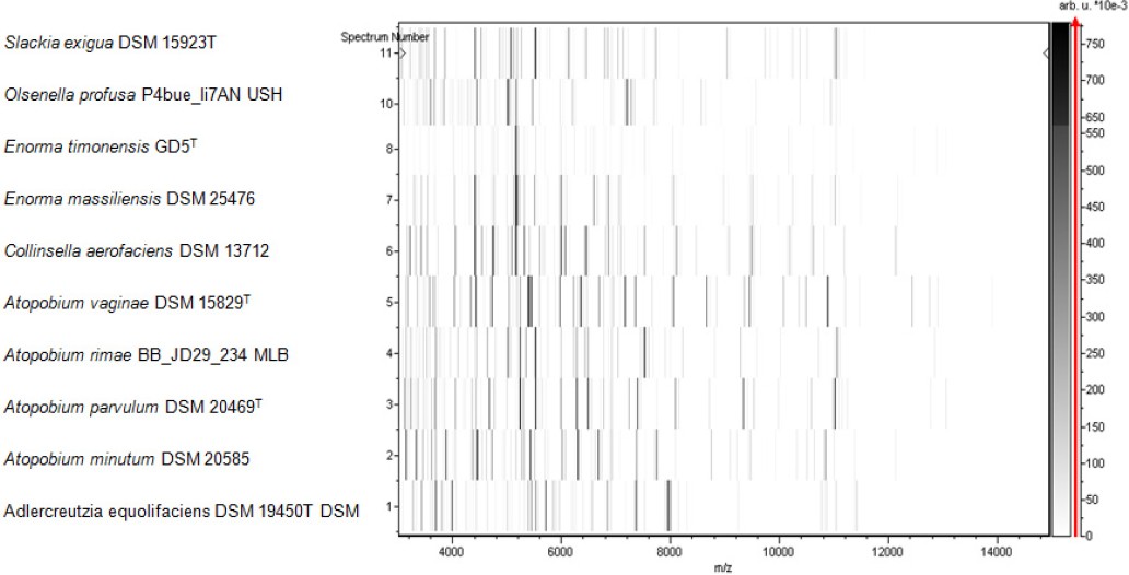 Figure 5.