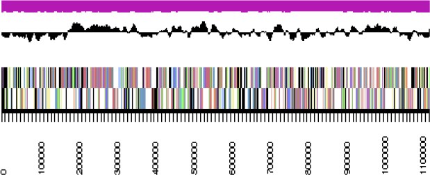 Figure 3d.