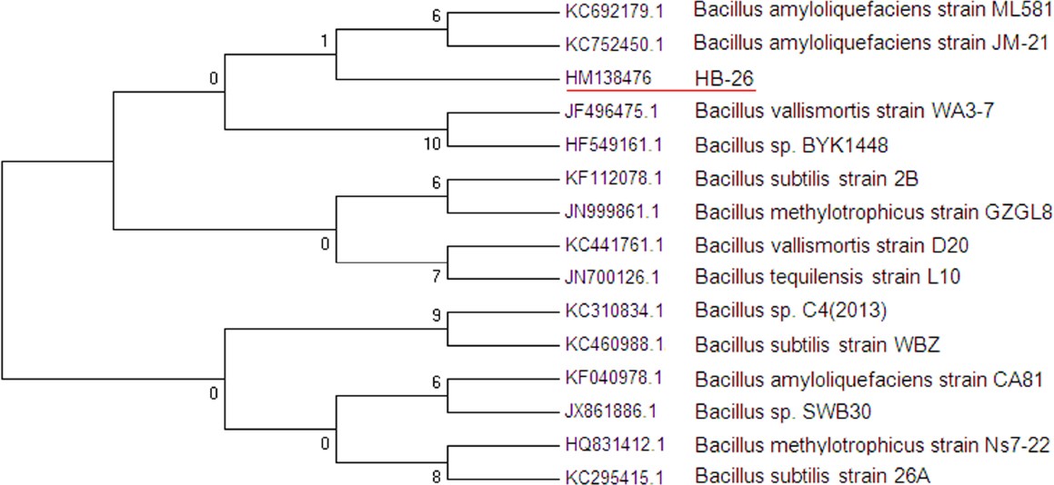 Figure 2.