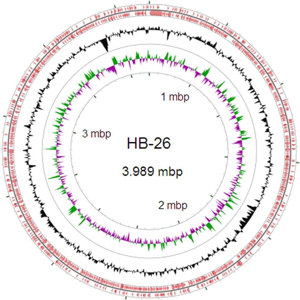 Figure 3.