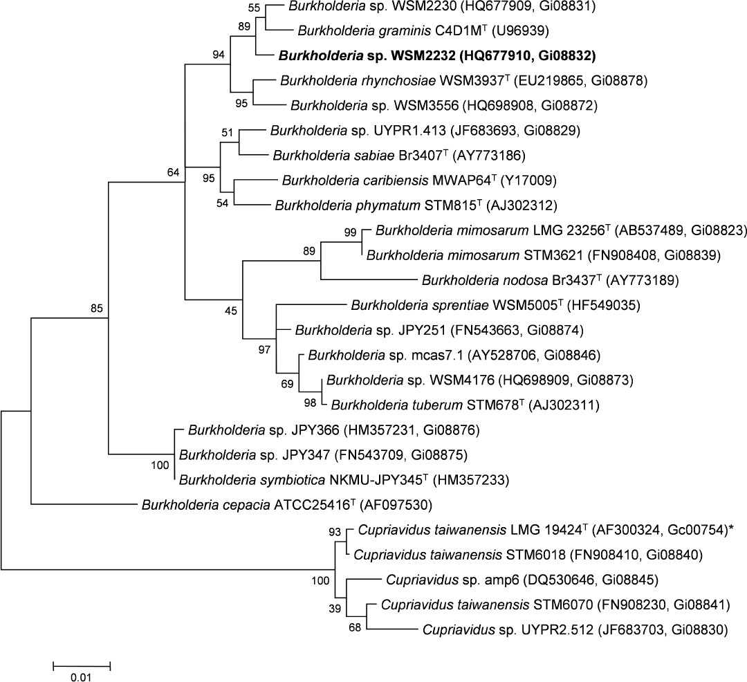 Figure 2.