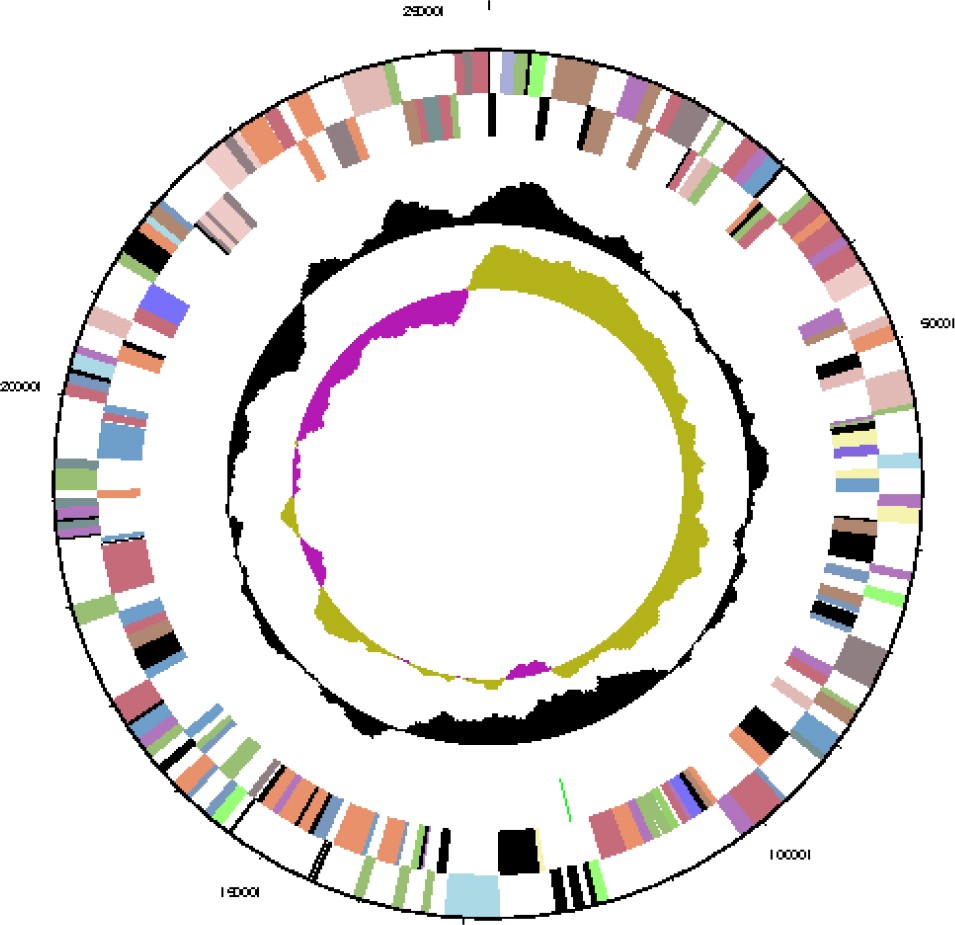 Figure 3b.