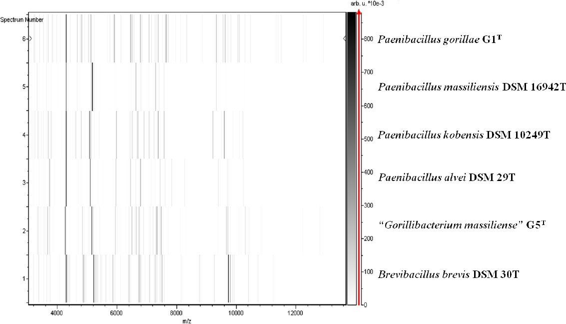 Figure 5.