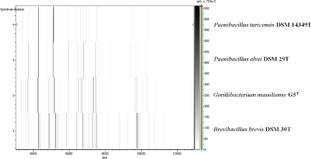 Figure 5.