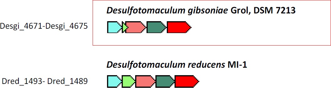 Figure 10.