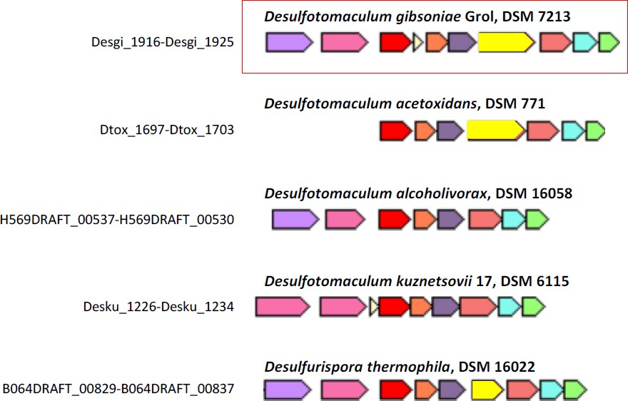 Figure 11.