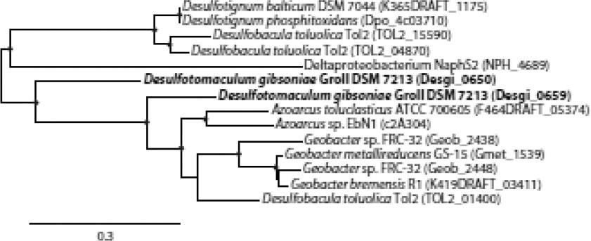 Figure 5A.