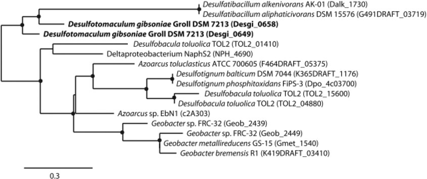 Figure 5B.