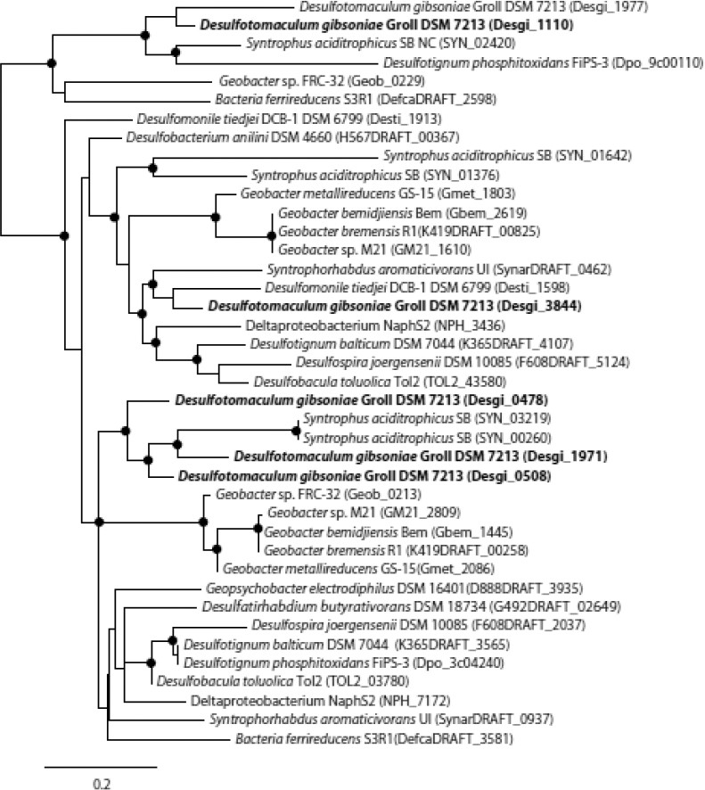 Figure 6B.