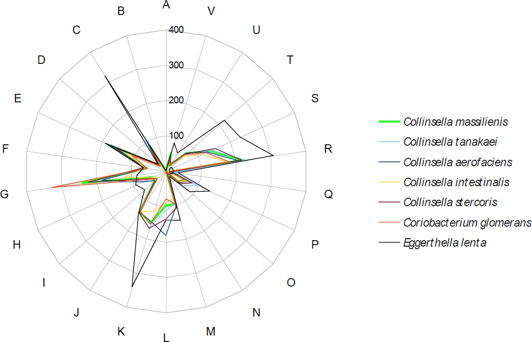 Figure 7.