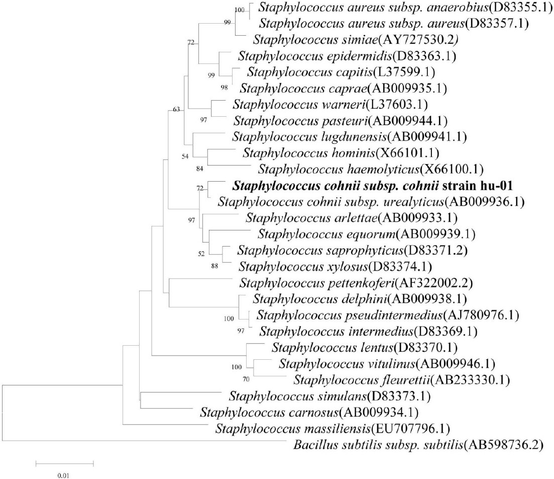 Figure 3.