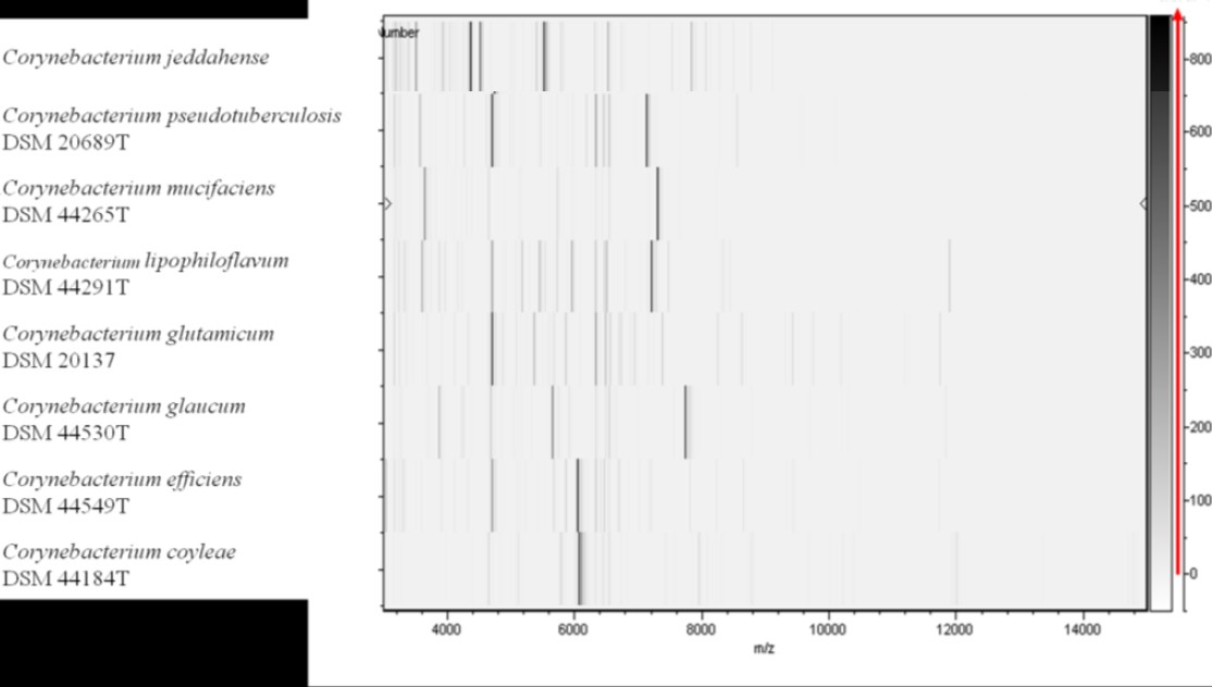 Figure 5.