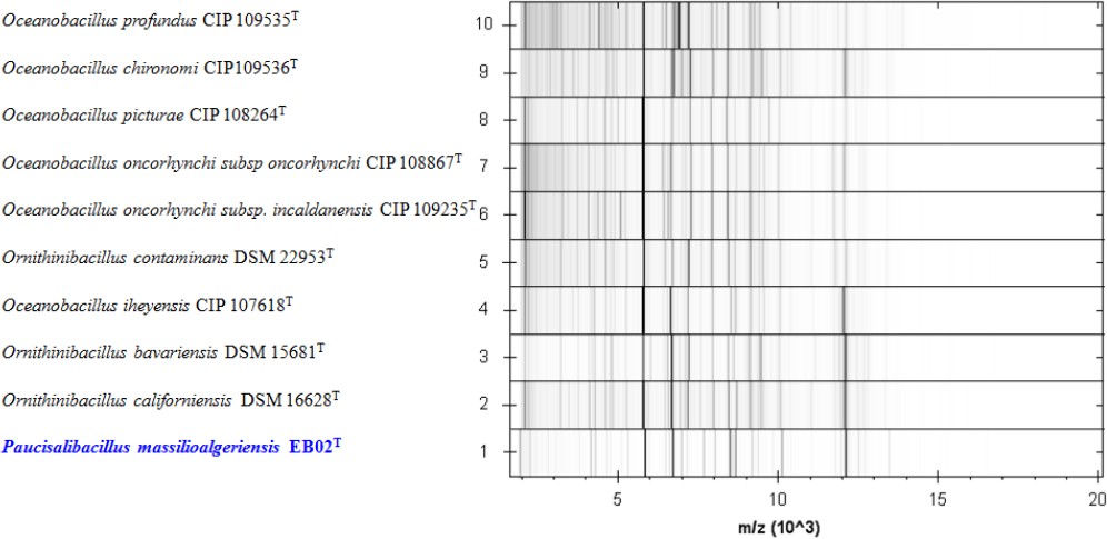 Figure 5.