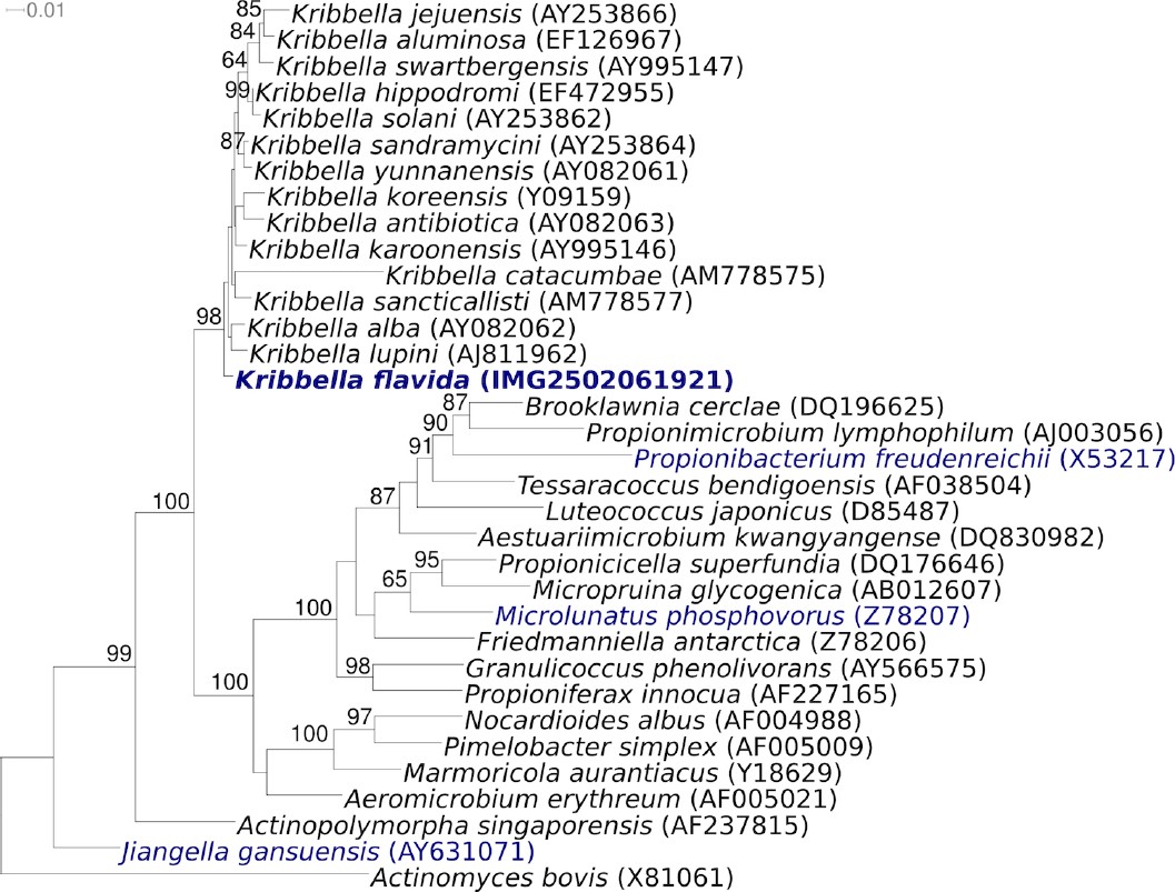 Figure 1.