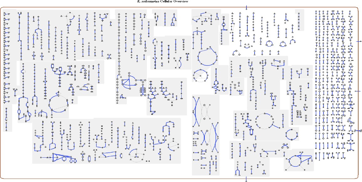 Figure 4: