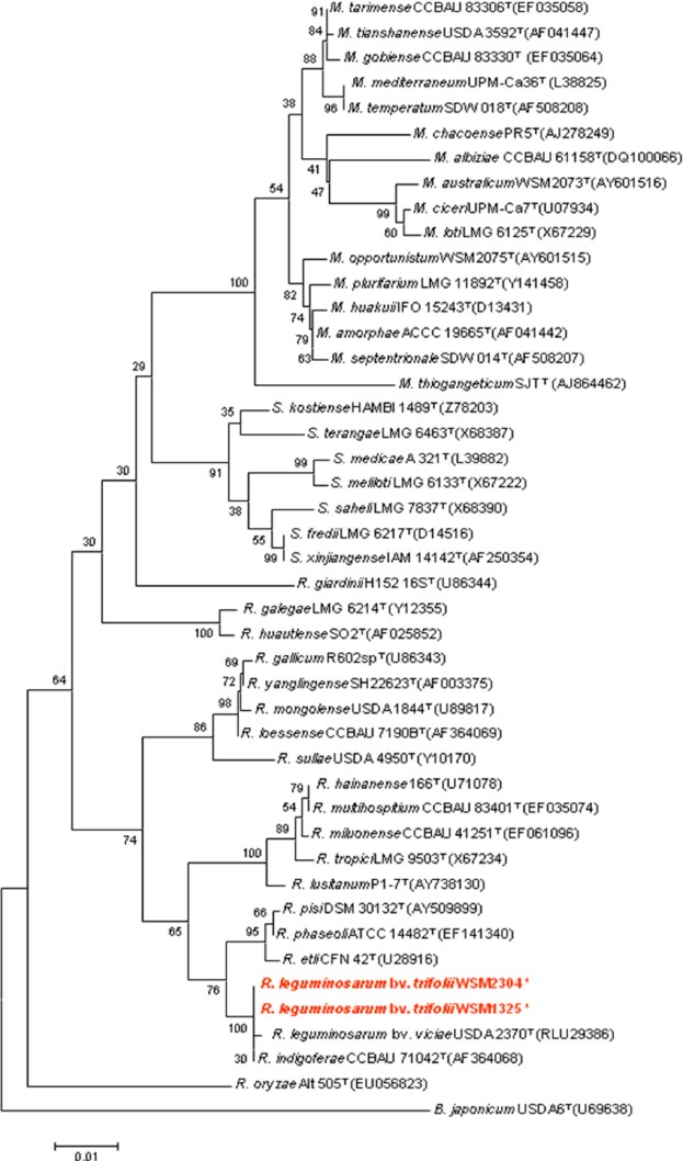 Figure 2.