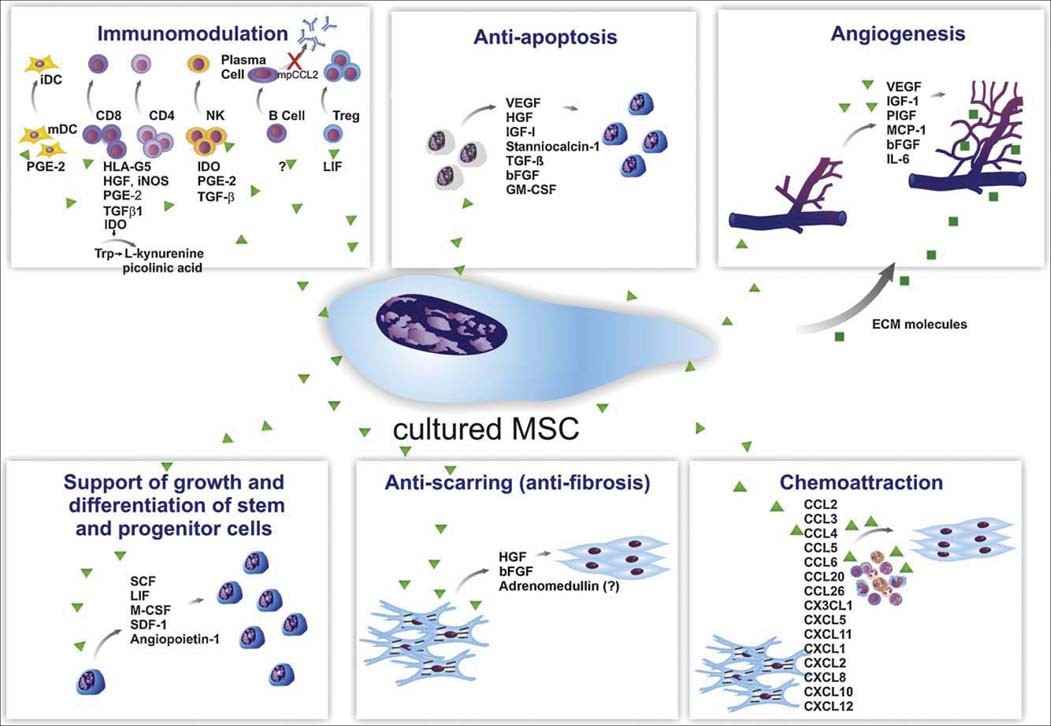 Figure 2: