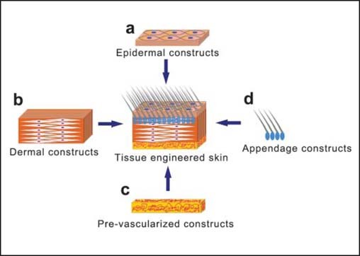 Figure 1: