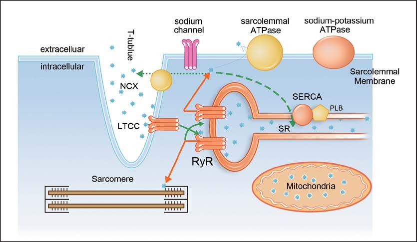 Figure 1: