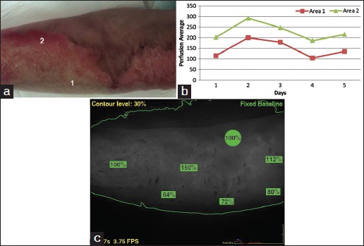 Figure 1: