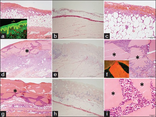 Figure 5: