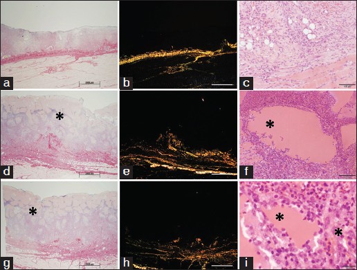 Figure 6: