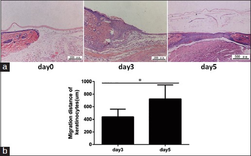 Figure 3: