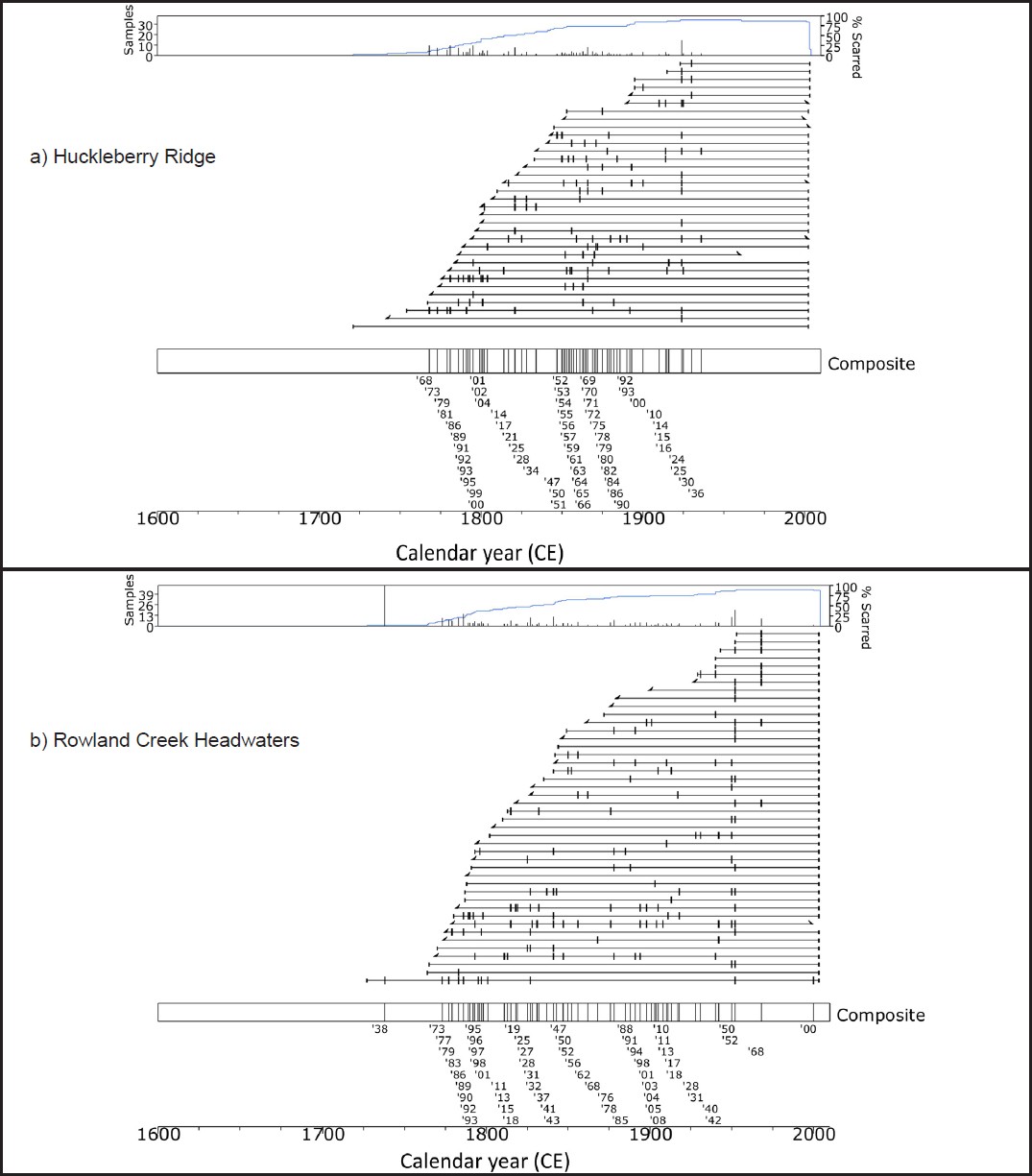 Figures 3a and 3b