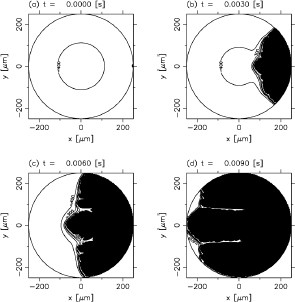 Fig. 5.