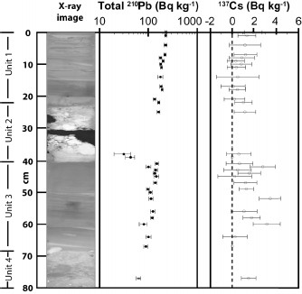 Fig. 7.