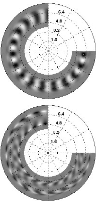 Fig. 8.