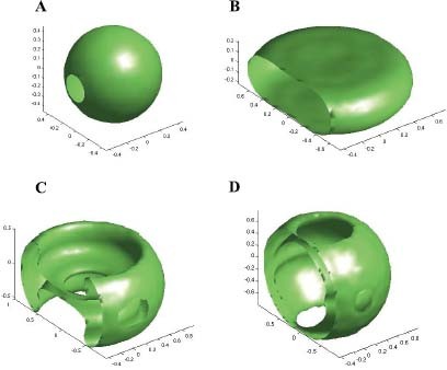 Fig. 4.