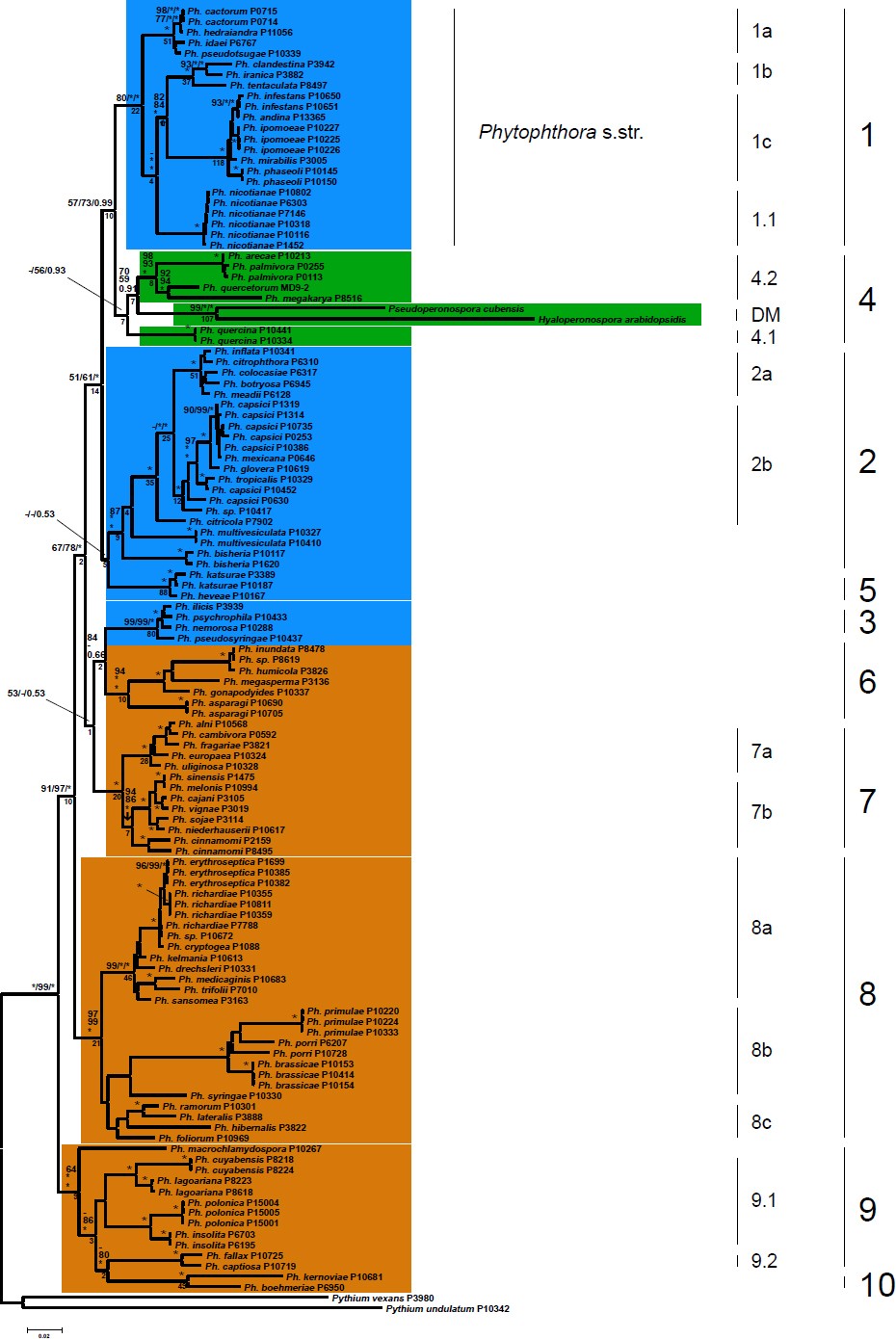 Fig. 1