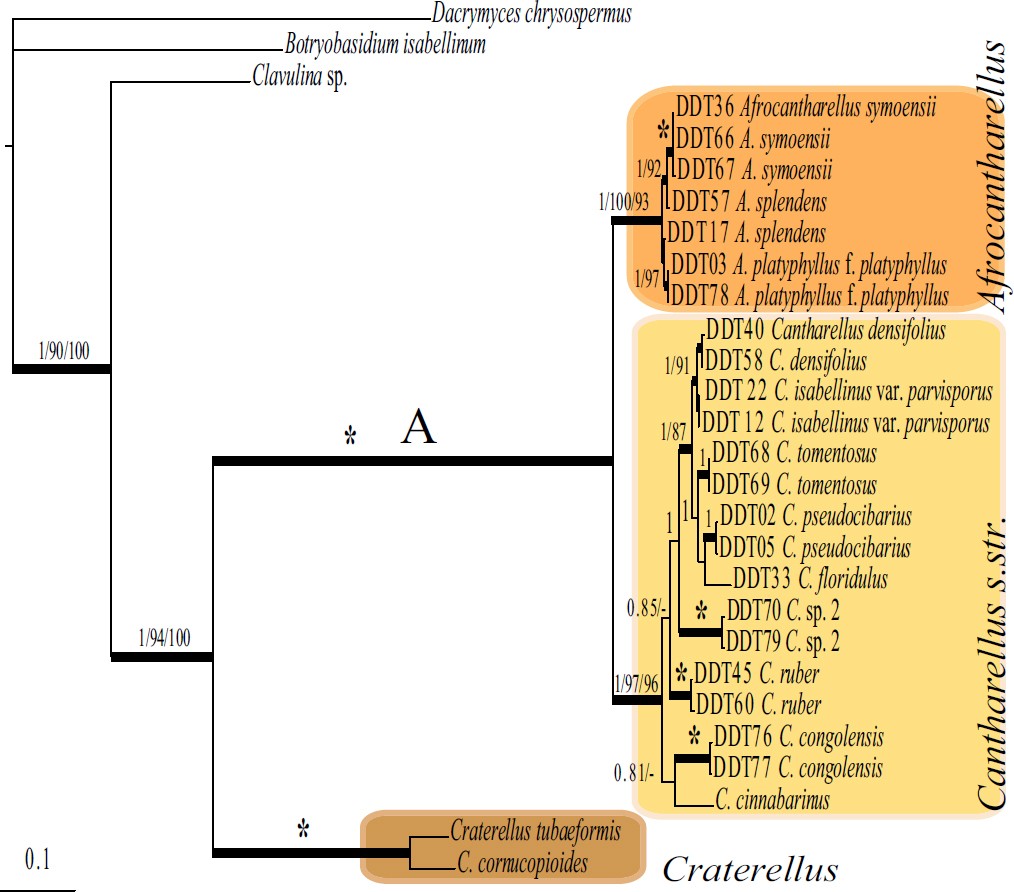 Fig. 3.