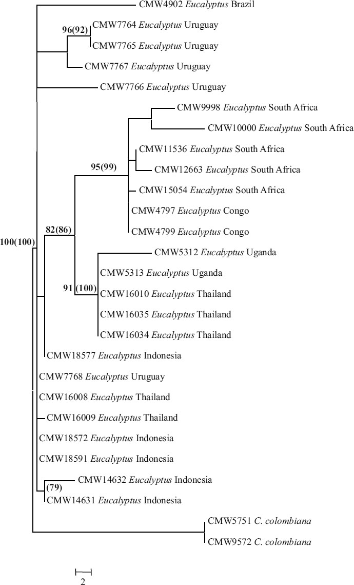 Fig. 2.